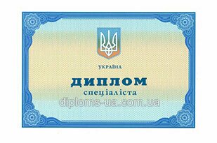 Диплом менеджера о высшем образовании 2011-2013 годов