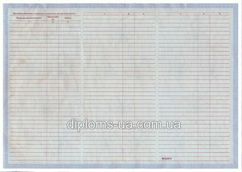 Диплом о высшем образовании 2000-2010 года - Фото 4